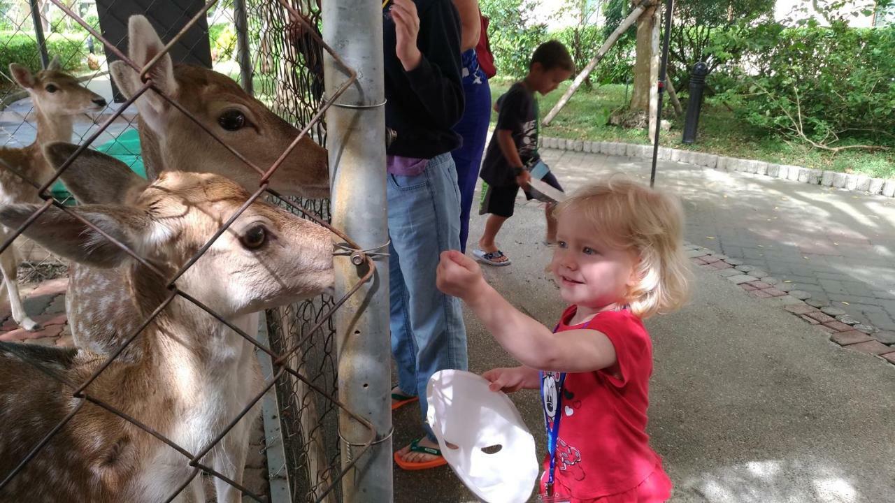 Howard Beach Resort Кэньдин Экстерьер фото Feeding the kangaroos