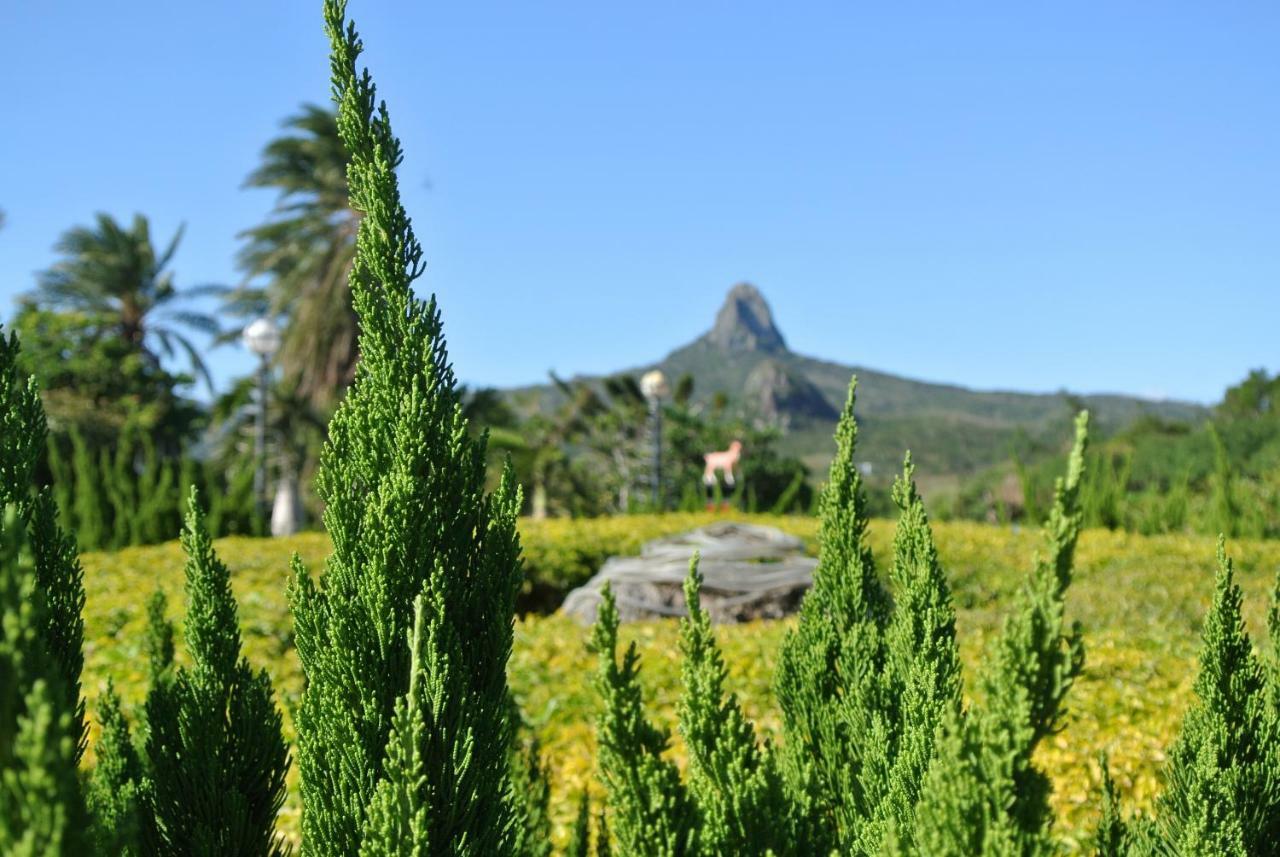 Howard Beach Resort Кэньдин Экстерьер фото View of Pico do Papagaio
